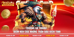 trường gà thomo